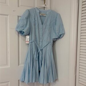 Taylor Pale Blue Embroidered Puff Sleeve Mini Dress